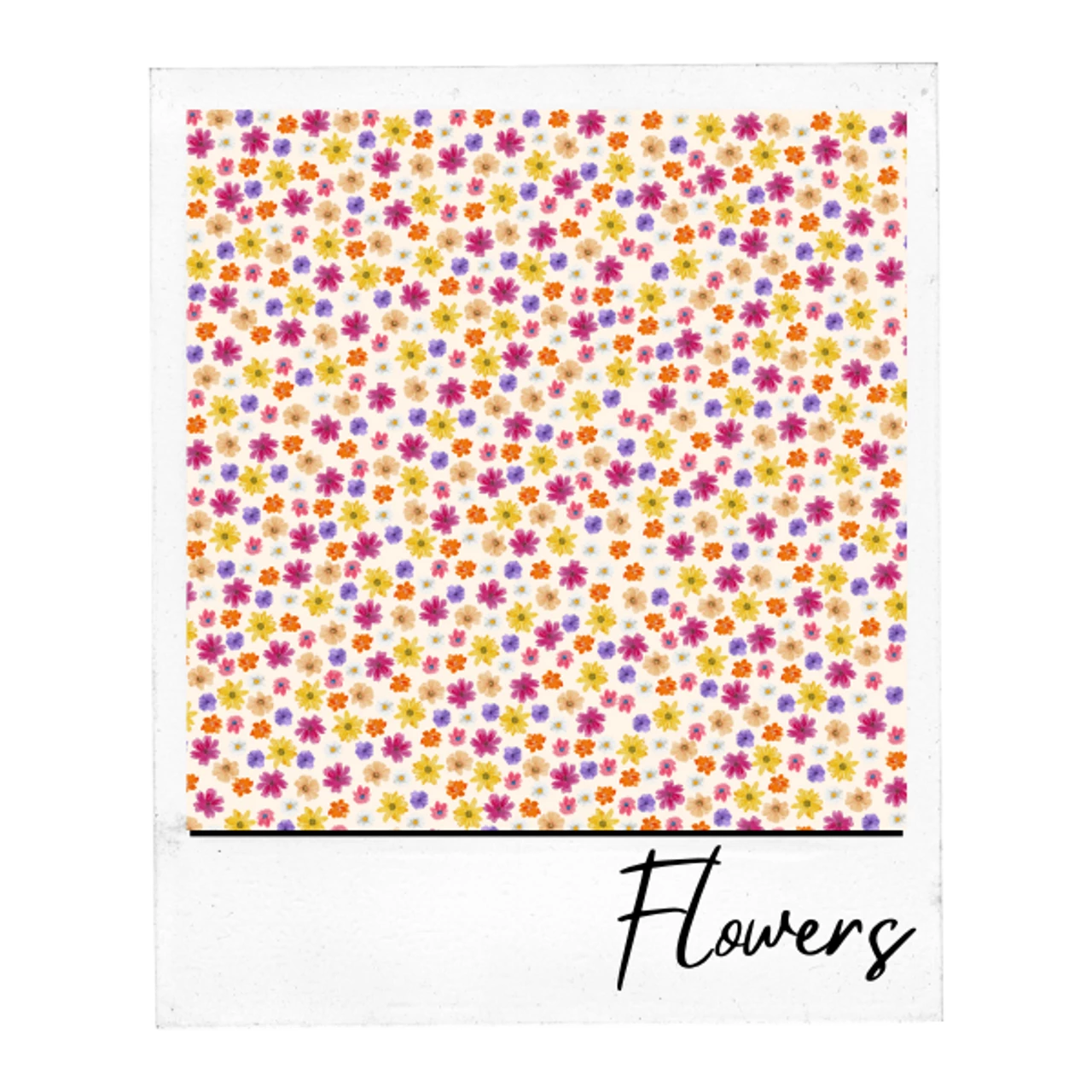 Era's Adhesive Collection 9 Era's Adhesive Collection - Image 7