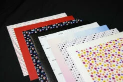 Era's Adhesive Collection 20 Era's Adhesive Collection -Sewing Supplies Sales 2024 IMG 7589 min 51637.1703719223